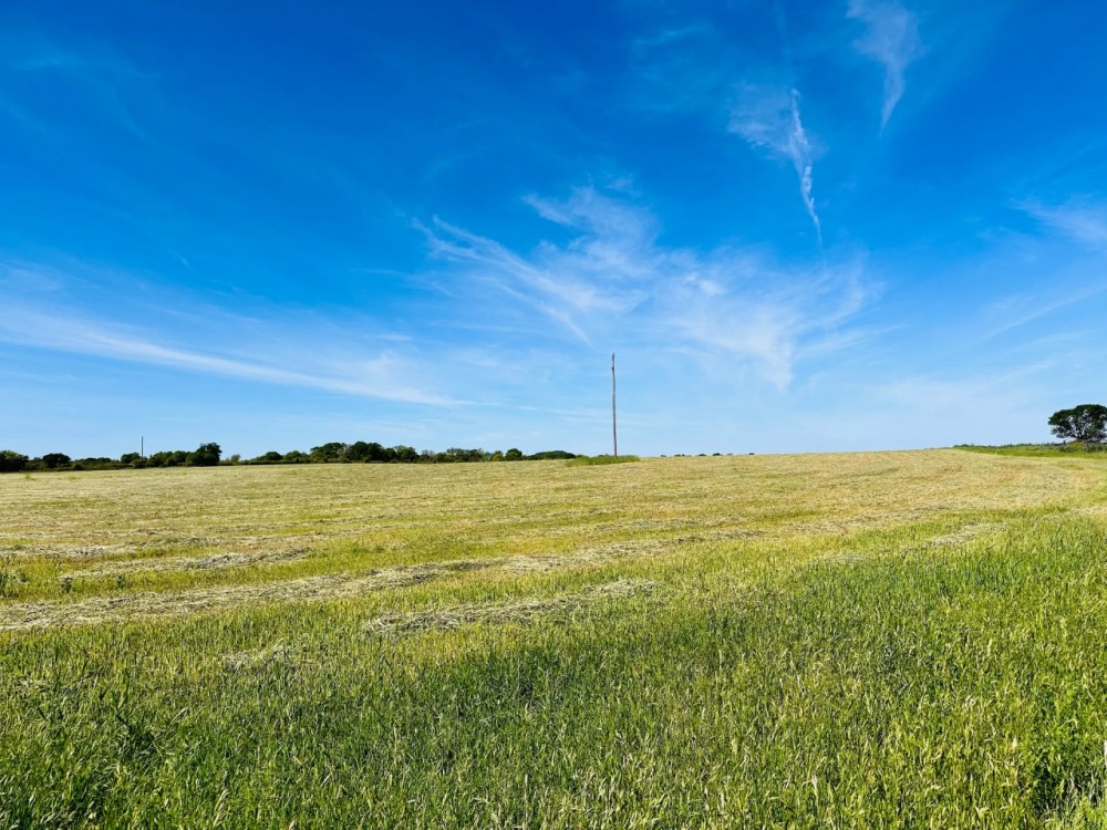 368.538 Ac CR 429 430 Cross Plains featured image