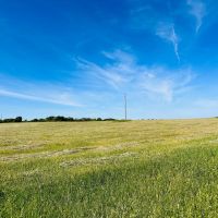 368.538 Ac CR 429 430 Cross Plains images 1
