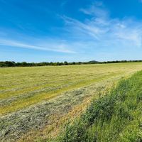 368.538 Ac CR 429 430 Cross Plains images 2