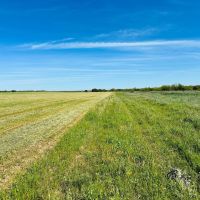 368.538 Ac CR 429 430 Cross Plains images 3