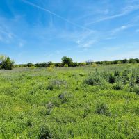 368.538 Ac CR 429 430 Cross Plains images 4