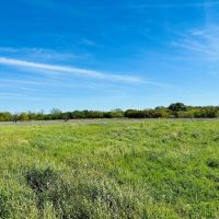 368.538 Ac CR 429 430 Cross Plains images 5