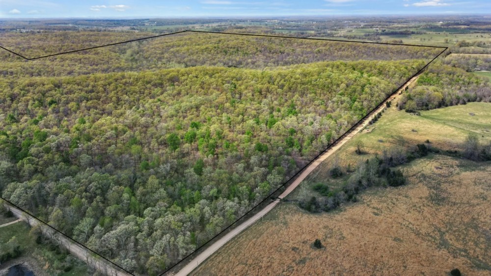 Mature Timber Live Water Development Potential featured image