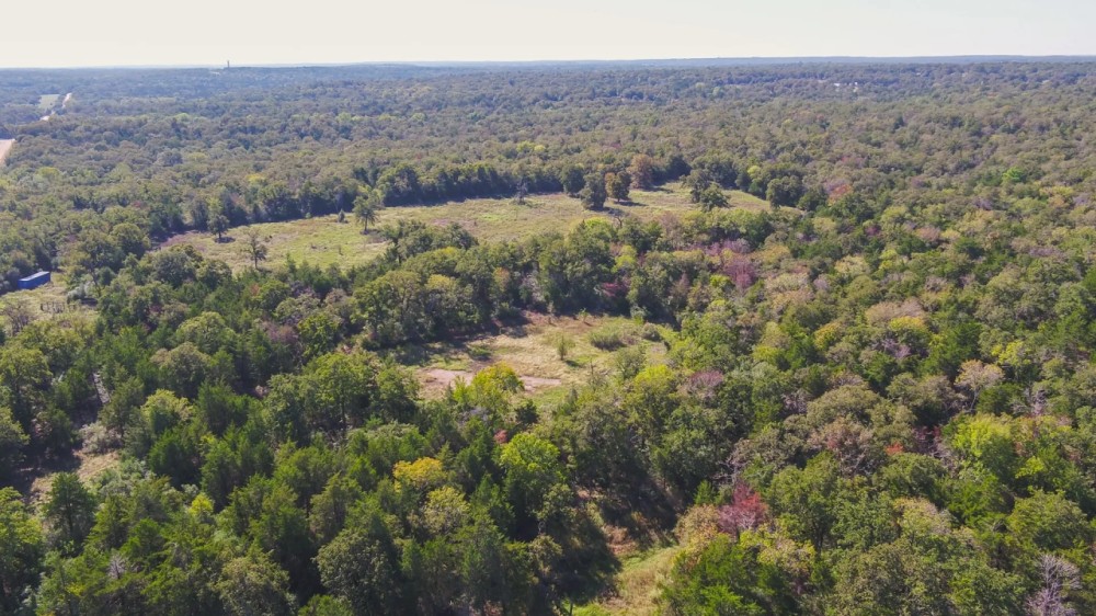 30 Acres in Milam County featured image