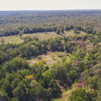 30 Acres in Milam County