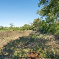 30 Acres in Milam County images 2
