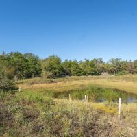 30 Acres in Milam County images 5