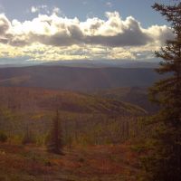 Fortymile River Gold District