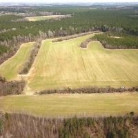 62 acres of Solar Farm Land For Sale in Sussex County VA images 3