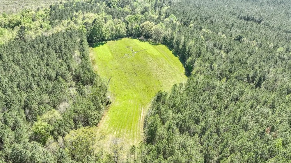 120 acres of Fine Hunting Land for Sale in Butler County AL featured image