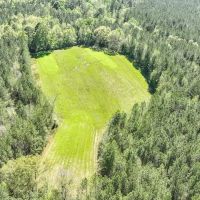 120 acres of Fine Hunting Land for Sale in Butler County AL