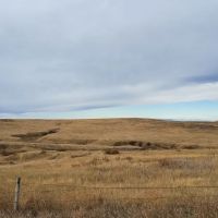 40 Acres - Land for Sale images 3