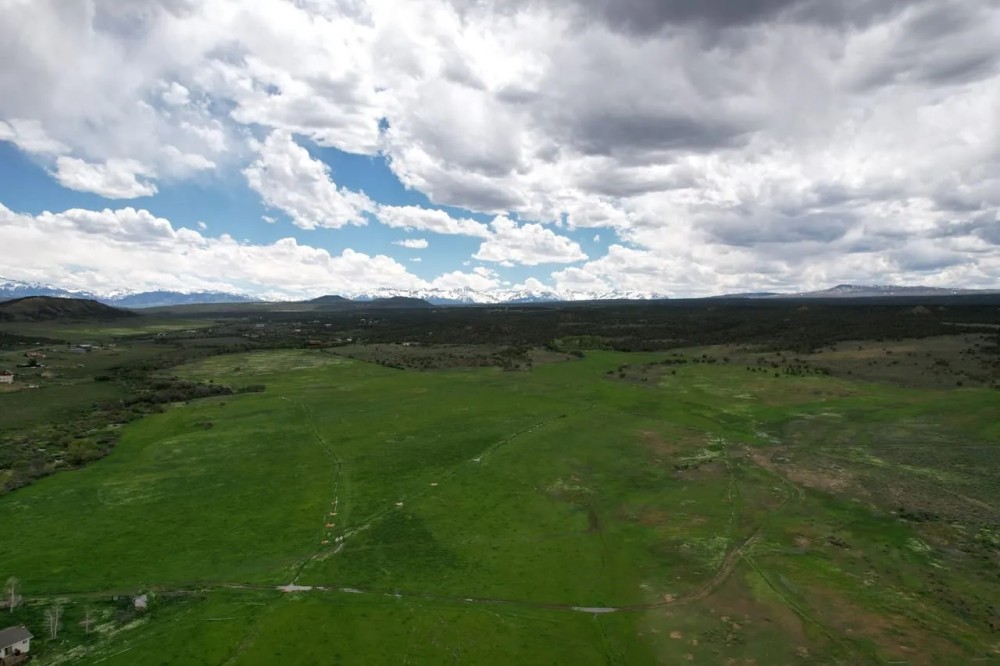 The Horsefly Ranch featured image