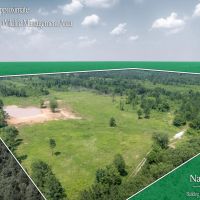 McCurtain 160 images 2