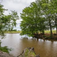 Steele Creek Cattle Ranch- 108 AC in Robertson County images 3