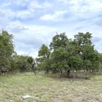 120 Big Sky Harper Texas 78631 images 4