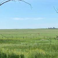 Li Cattle Ranch images 2