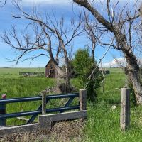 Li Cattle Ranch images 3