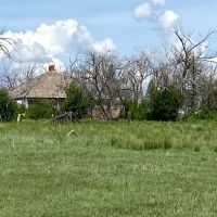 Li Cattle Ranch images 5