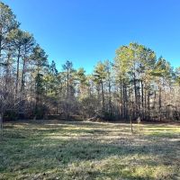 Yellow Fly Hunting Tract