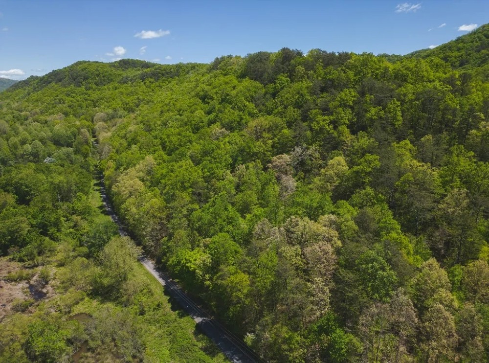 Discover the Hidden Paradise 115 Acres of Serenity and Wildlife in East Tennessee s Bean Station Grainger County featured image
