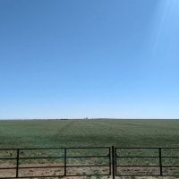 Wide open spaces to play and build close to Amarillo