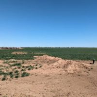 Wide open spaces to play and build close to Amarillo images 2