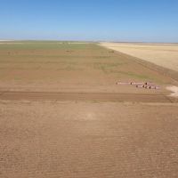 Wide open spaces to play and build close to Amarillo images 3