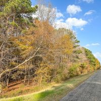 463 Acres Hwy 67 Maya 1003 images 3