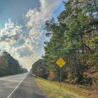 463 Acres Hwy 67 Maya 1003 images 4