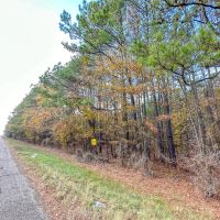 463 Acres Hwy 67 Maya 1003 images 5