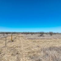 Duval 33 Acres images 5