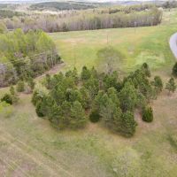 20 scres of Residential and Recreational Land For Sale in Halifax County VA images 4
