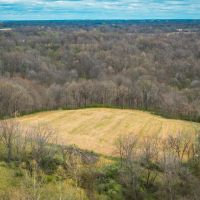 25804 Reddish Rd Fieldon IL images 2