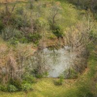 25804 Reddish Rd Fieldon IL images 3