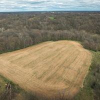 25804 Reddish Rd Fieldon IL images 4