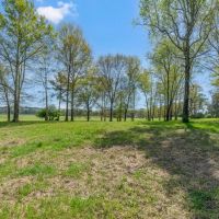 Rolling Meadows and Towering Oaks in Greenville images 3