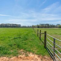 Rolling Meadows and Towering Oaks in Greenville images 5