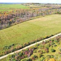 17 acre Recreational Property with a Field Woods and Stream in Canisteo NY Lamphier Road images 4