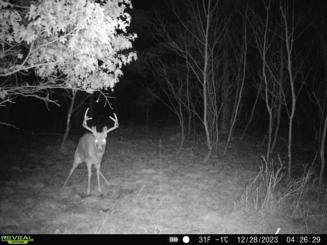 Hunting Pasture and Ag Land for Sale in Crawford County Wisconsin featured image