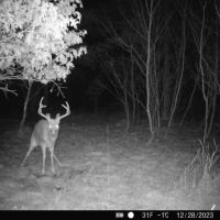 Hunting Pasture and Ag Land for Sale in Crawford County Wisconsin