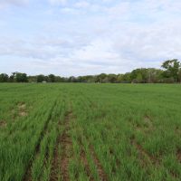 LA - Caldwell 38.5 acres - images 4