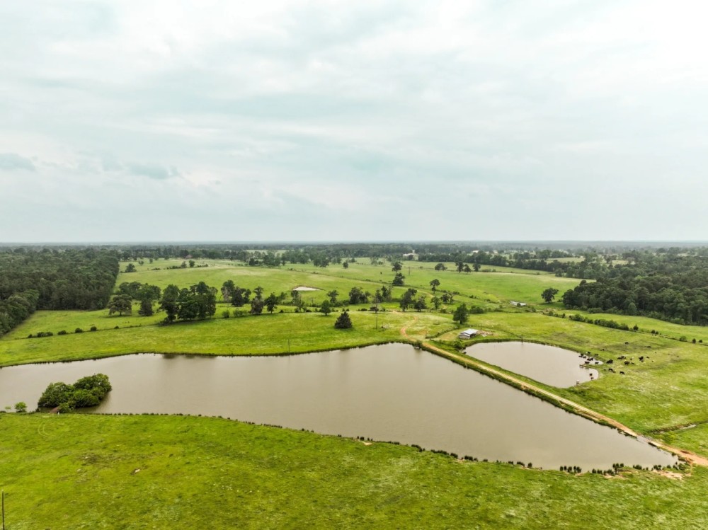697 Acres 3 Points Ranch Highway 21 featured image