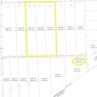 15 acres Meadowland and Recreational Land in Jasper NY High Up Road images 4