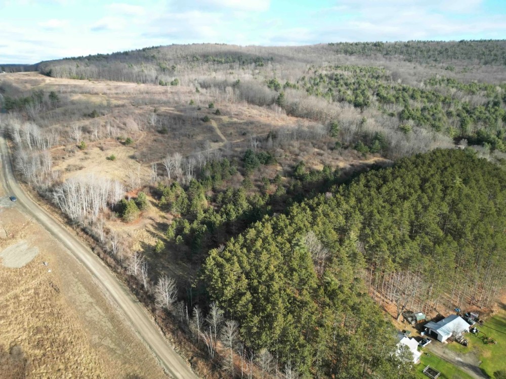 10 acre Building Lot and Recreational Property in Urbana NY Two Rod Road featured image