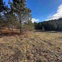10 acre Building Lot and Recreational Property in Urbana NY Two Rod Road images 4