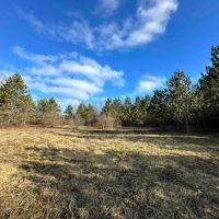10 acre Building Lot and Recreational Property in Urbana NY Two Rod Road images 5