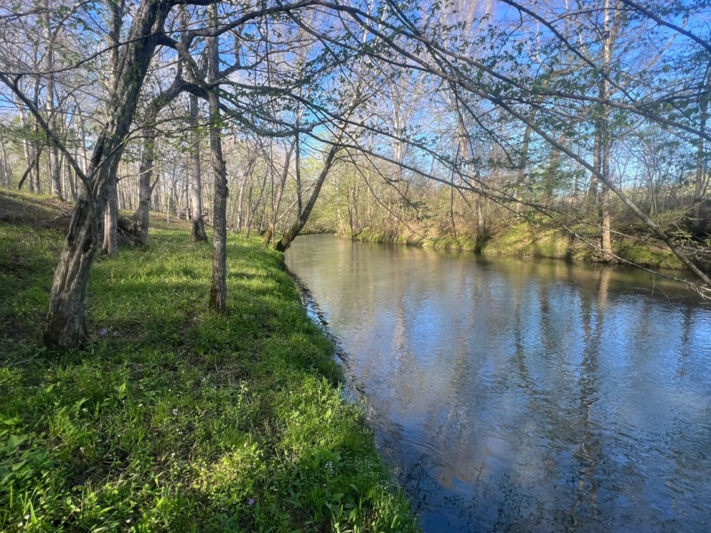 Little Cypress Farm featured image