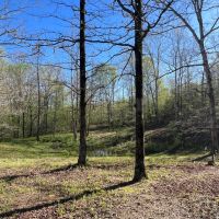 Little Cypress Farm images 2
