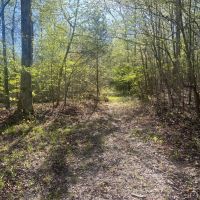 Little Cypress Farm images 3